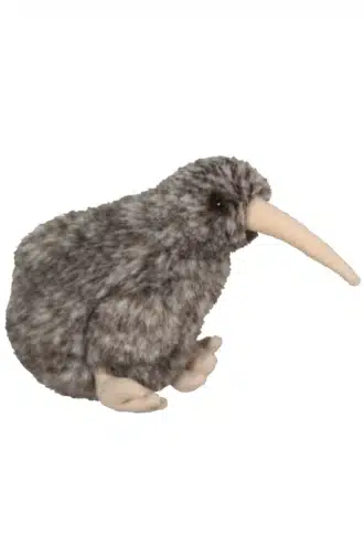 Kiwi Bird