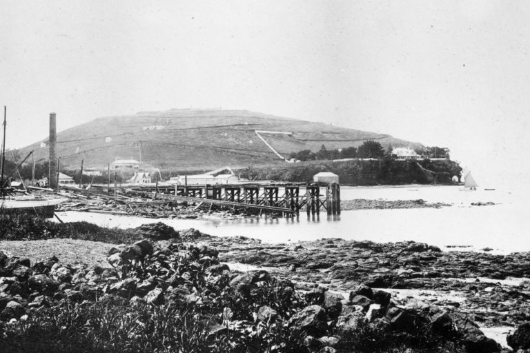 Torpedo Bay from Devonport wharf, 1890, ADC 0041 Torpedo Bay from Devonport wharf, 1890