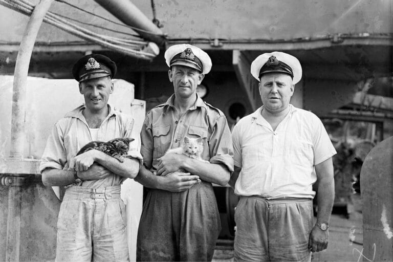 Cats were a popular mascot